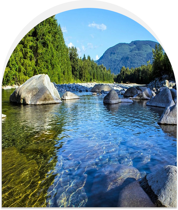 Group 1321317385 (1)